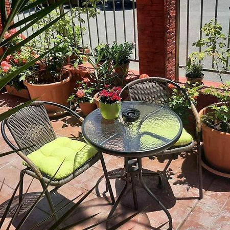 Adri Guest House 네세부르 외부 사진